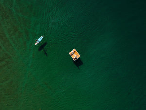 POP Board Co- Dock